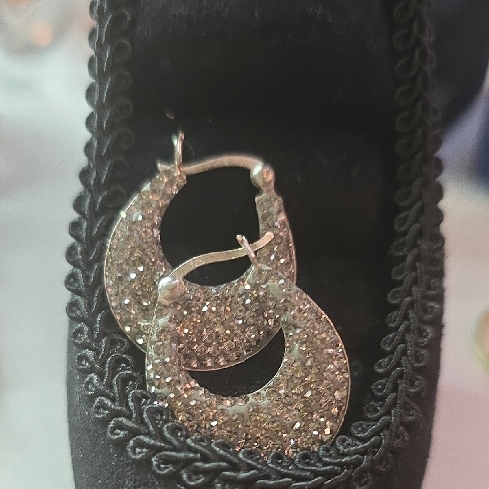 Elegant Silver Hoop Earrings